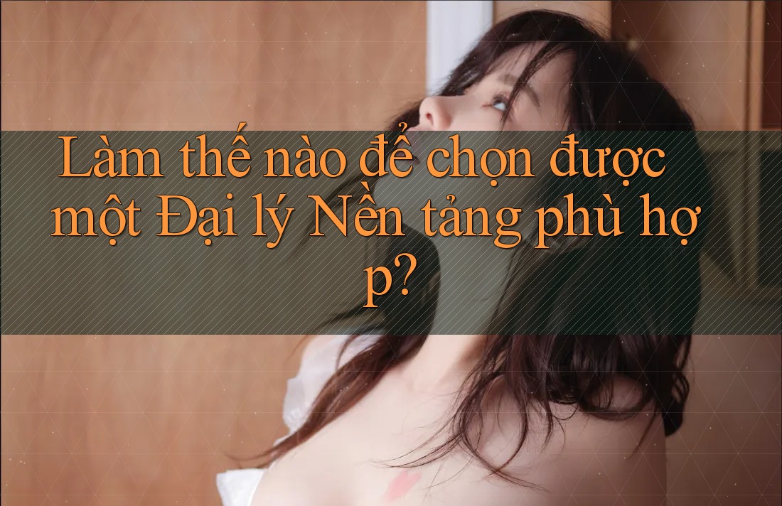 Làm thế nào để chọn được một Đại lý Nền tảng phù hợp? Làm thế nào để chọn được một Đại lý Nền tảng phù hợp?
