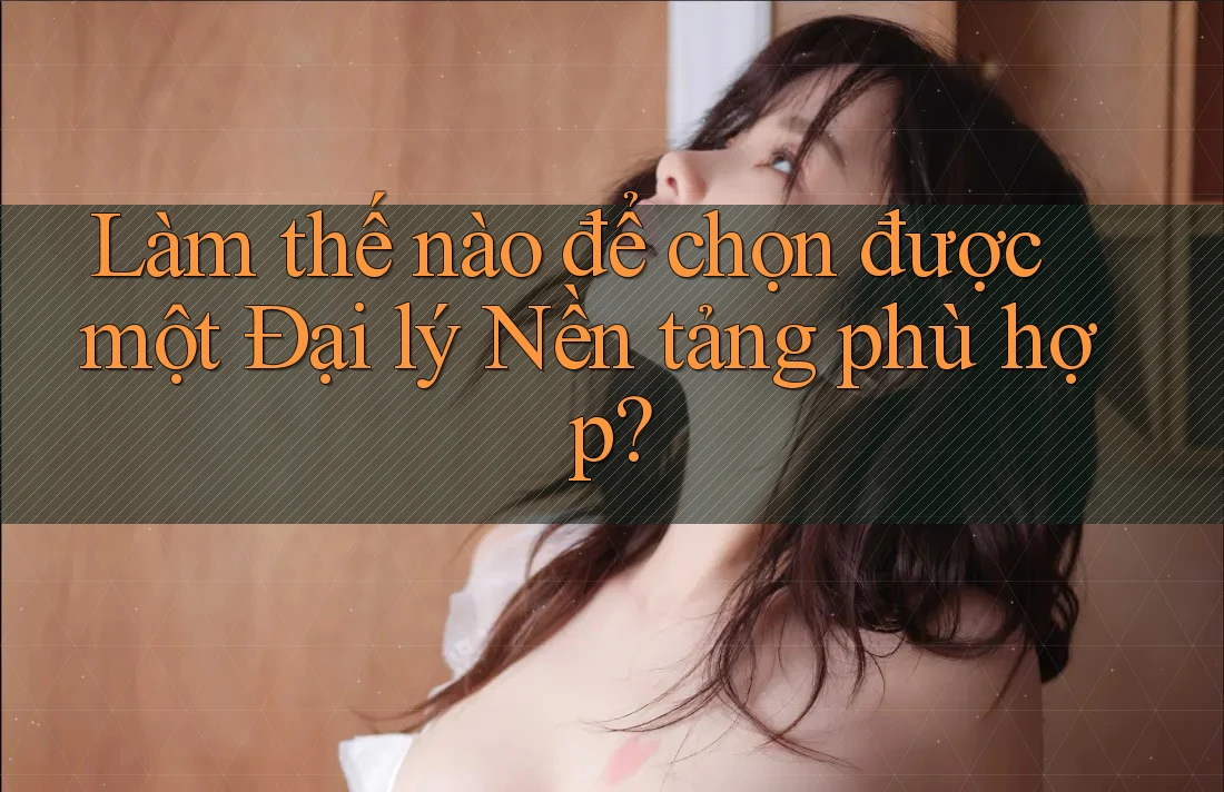 Làm thế nào để chọn được một Đại lý Nền tảng phù hợp?