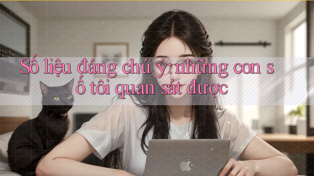 Số liệu đáng chú ý: những con số tôi quan sát được